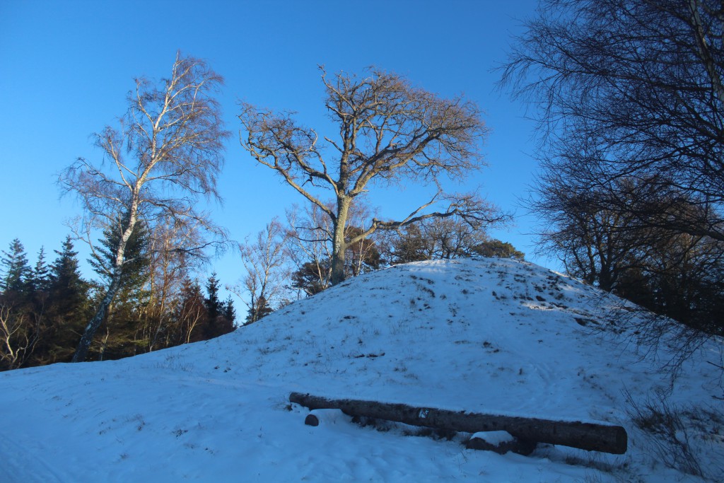 Burial mounds "Harehøj", Tisvilde Hegn. Photo about 3.15 