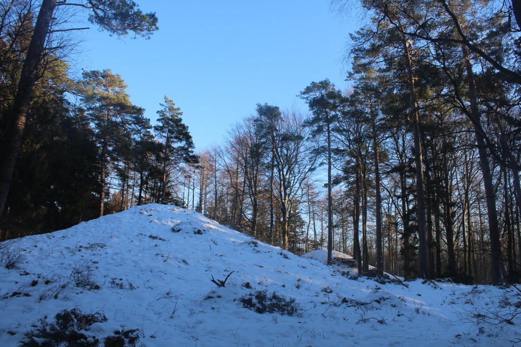 Harehøje butial mounds in Tisvilde Hegn. Phot about 3.15 teh 