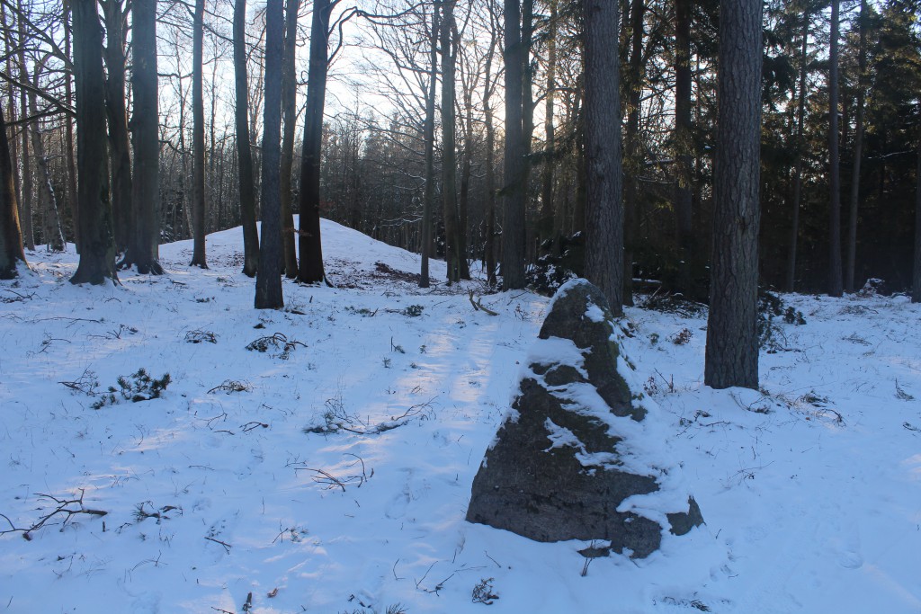 "Harehøje" burial mound an a Jættestone. Phot 