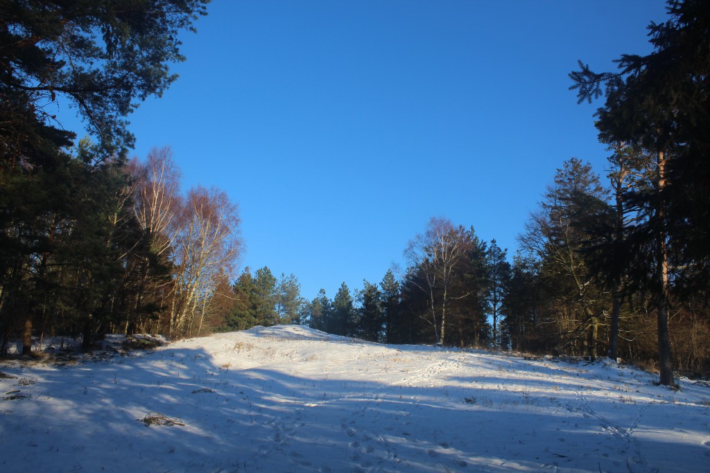 The valley "ENEBÆRDALEN" with 2 burial mounds on top of smallhill