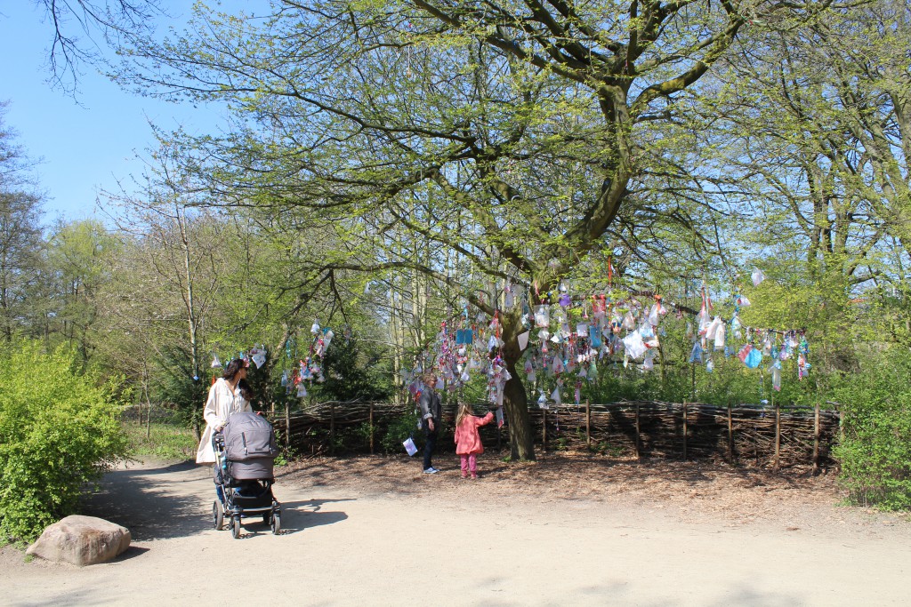 Frederiksberg Garden. Baby sucking dummy tree. Photo 2. may 2o16 by Erik K Abrahamsen.