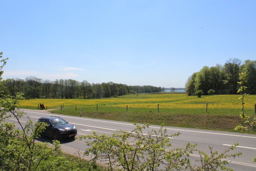 Main Road 205 between Helsinge and HElsinore. View in direction east to Esrum Lake at right. Photo 12. may 2016 by Eri