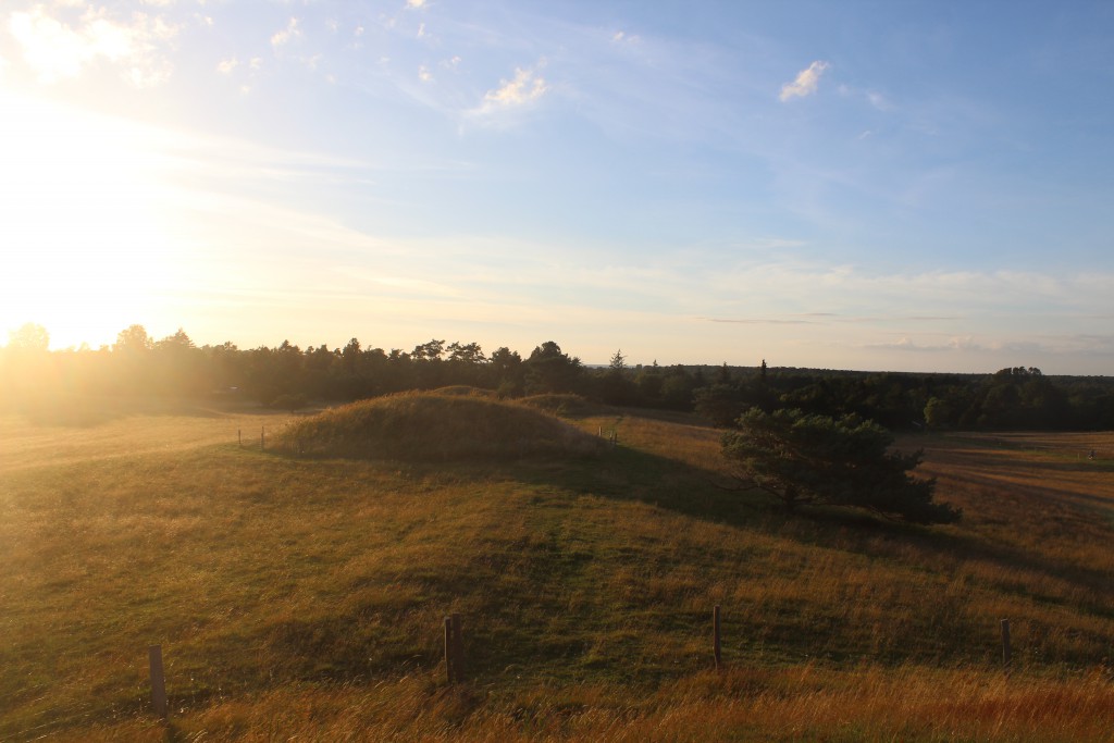 Bureal mounds from Danish Bronze Age 1500 B.C.. Photo in direction to katte Gat Sea 2 km. away july 2016 by Erik K Abtahamsen