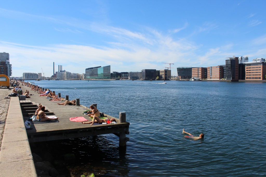 Island Brygge on island Amager at Copenhagen Inner Harbour. Vue in direction west