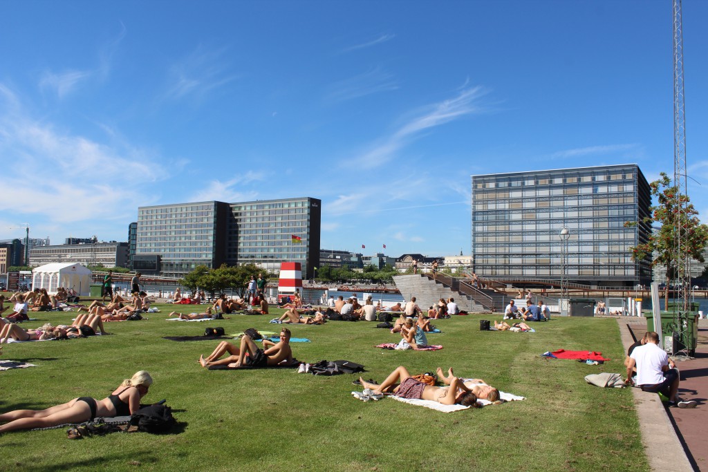 Relaxation on lawns and swimming in Copenhagen Inner Harbour at Island
