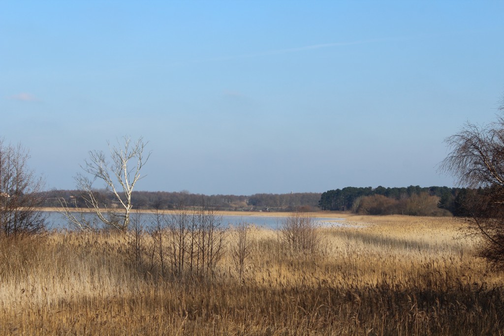 View to Arrsø lake and Arrenæs Peninsula. Phoot in direction east close to Auderødvej. Phoot 9. february 2018 by erik K Abrahamsen.