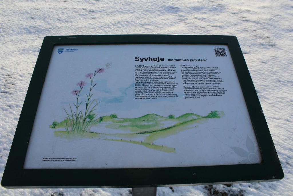 Syvhøje, Melby. Informationstave ved bronzealder gravhøje. Foto 16. februar 2018 af Erik K Abrahamsen.